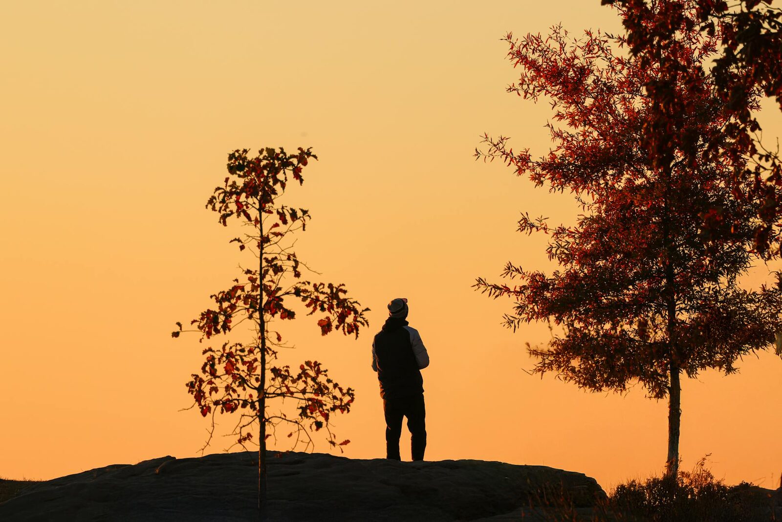 A silhouette in soft evening light
